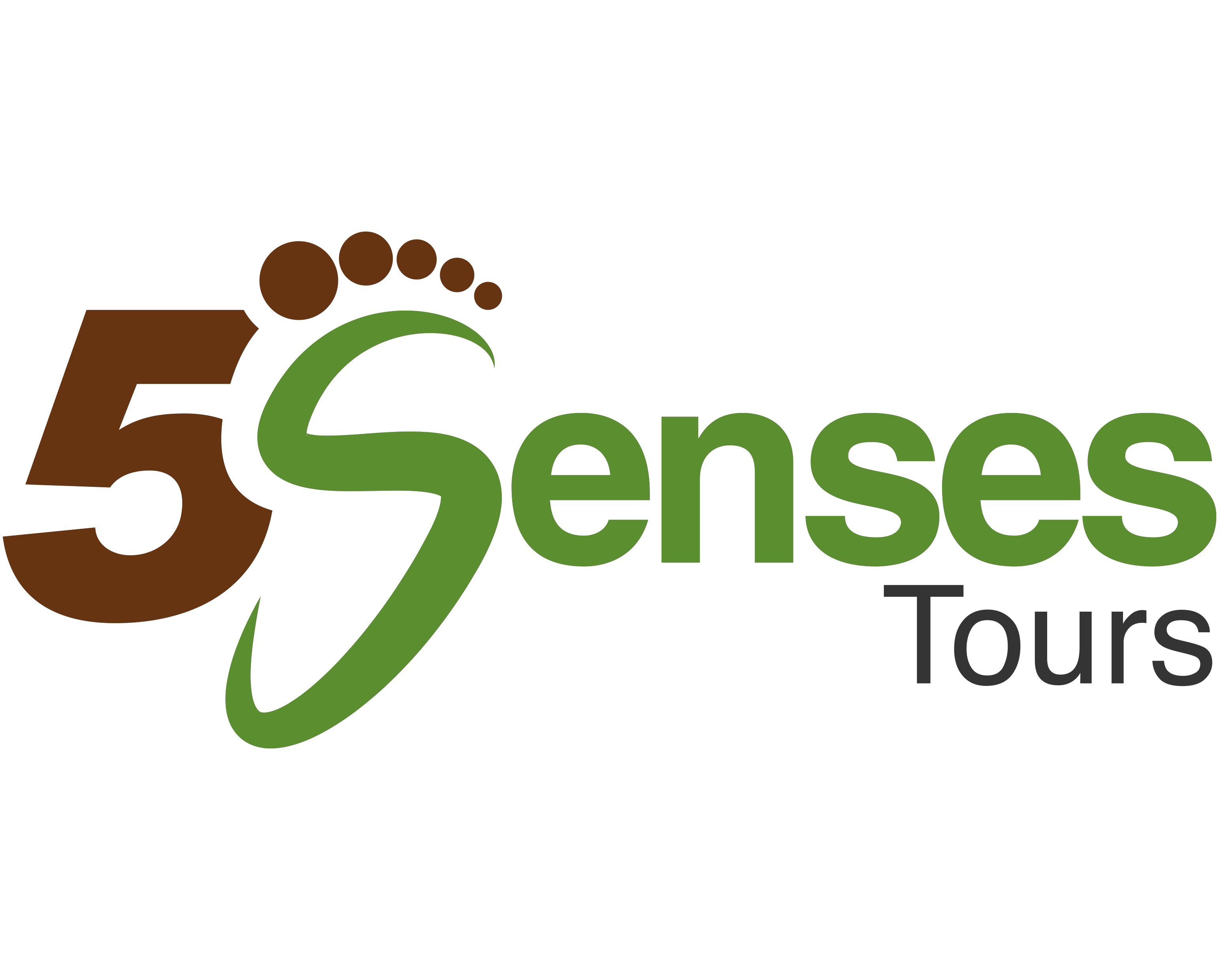 5 Senses Walks